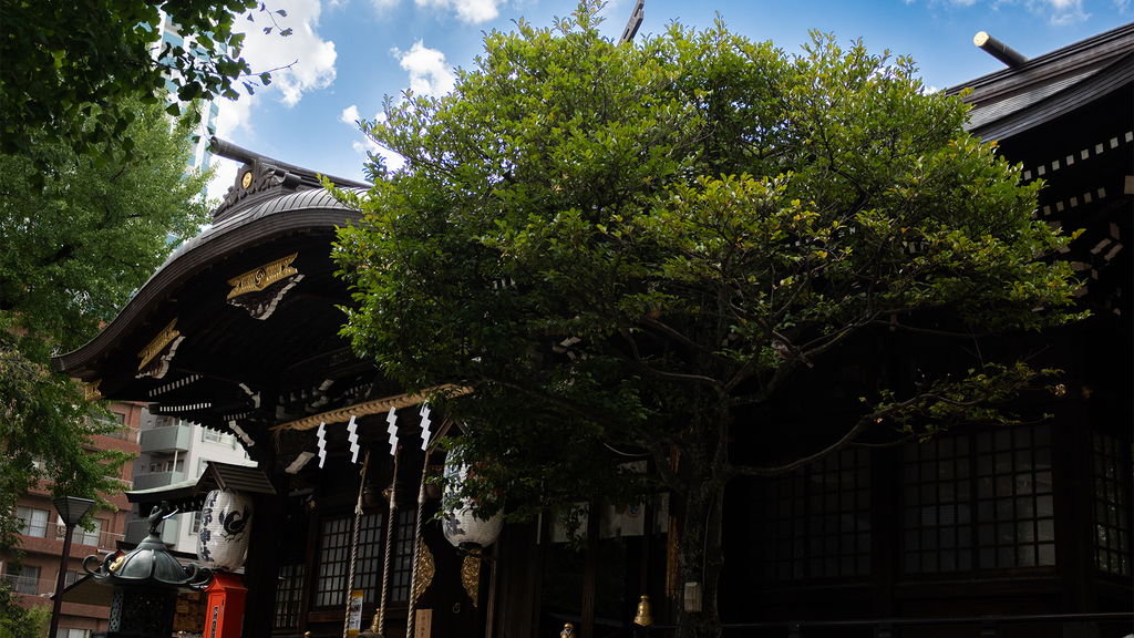 Juniso Kumano Shrine in Shinjuku: Goshuin, Access & My Visitor Guide 十二社熊野神社