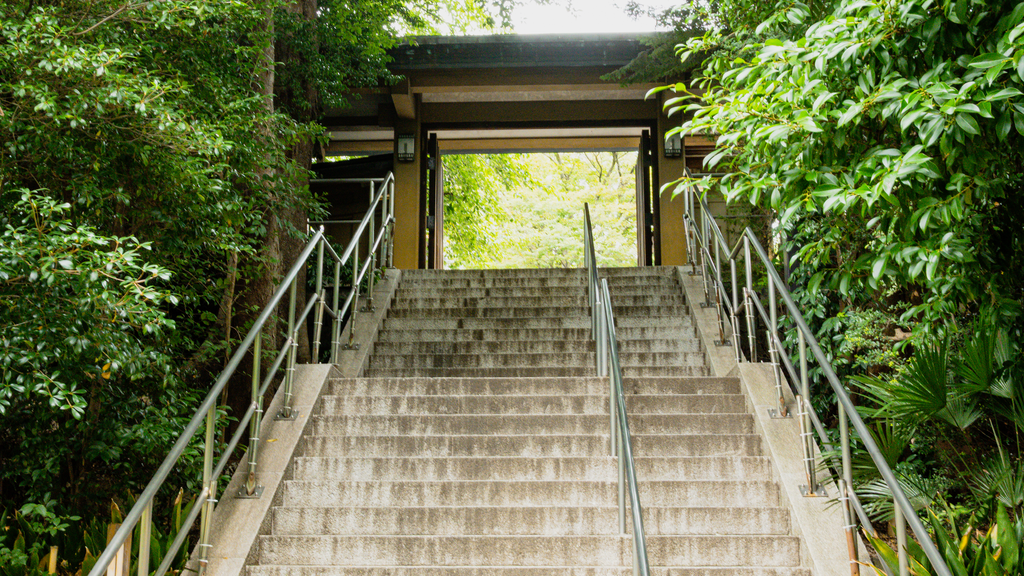 Togo Shrine Guide: Victory Blessings, Sanrio Goshuin & Harajuku History 東郷神社 02