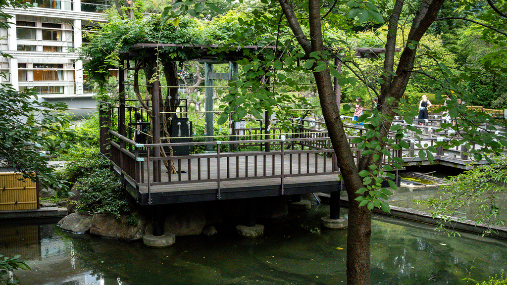 Togo Shrine Guide: Victory Blessings, Sanrio Goshuin & Harajuku History 東郷神社 05